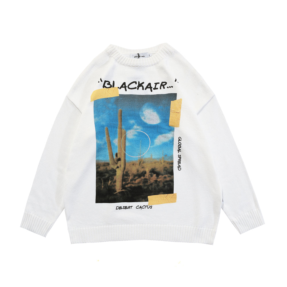 Desert Cactus Knit Sweater product image